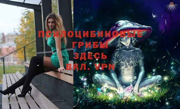ГАЛЛЮЦИНОГЕННЫЕ ГРИБЫ Арсеньев