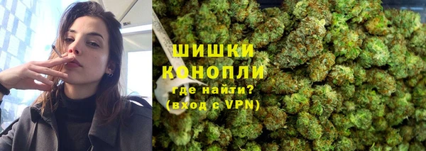 МДПВ Богородицк