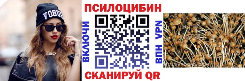 Галлюциногенные грибы Psilocybe  Певек 